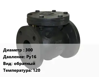 Клапан чугунный 300 Ру16 обратный 120